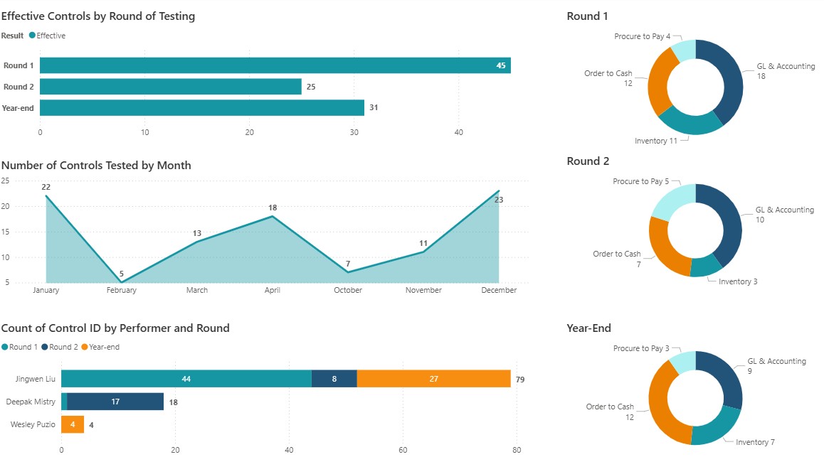 SOX Testing Execution Dashboard